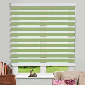 Green Zebra Blind